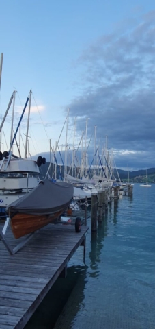 WhatsApp Image 2025-09-16 à 22.55.18_2dff5ea1